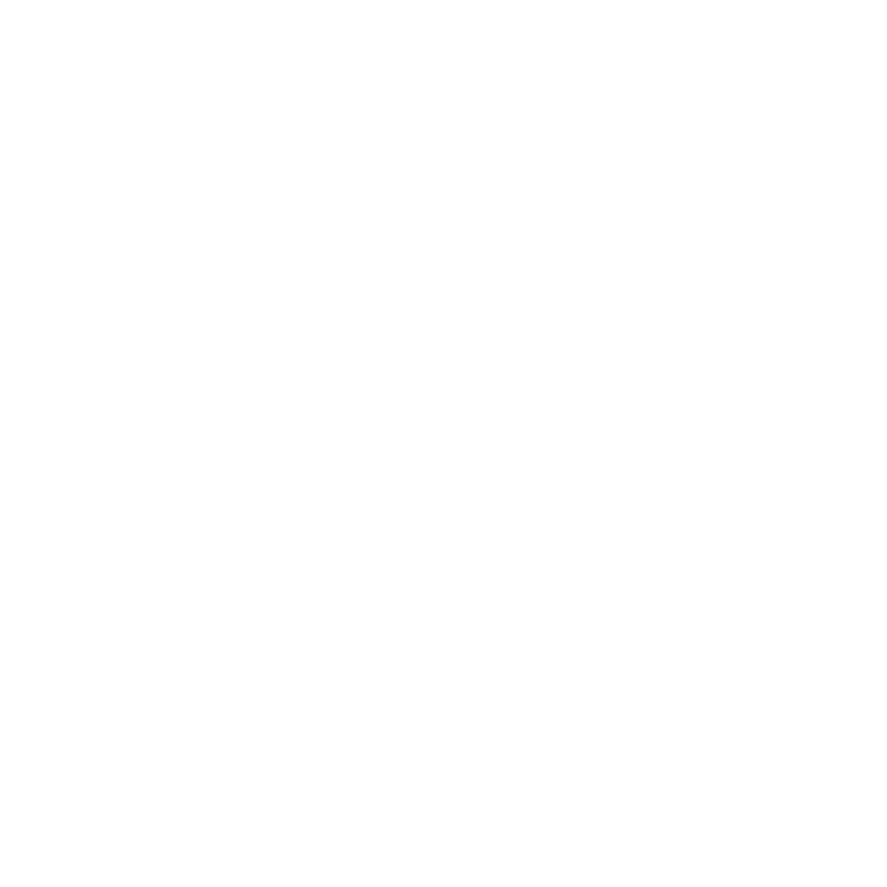 Deniz-transporte-Logo-2.png